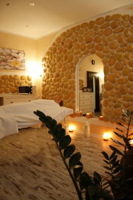 Nutriční terapeut Wellness Rychleby, Javorník