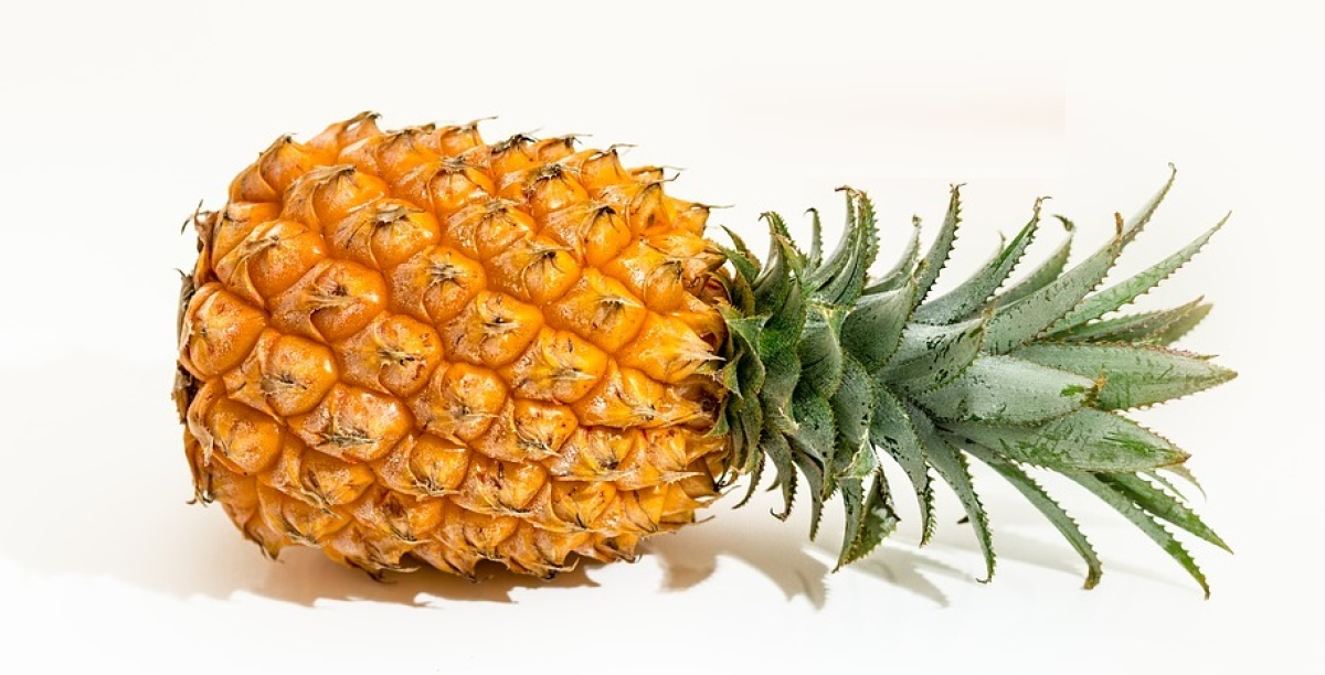 Ananas - Jak pěstovat, vitamíny, recepty