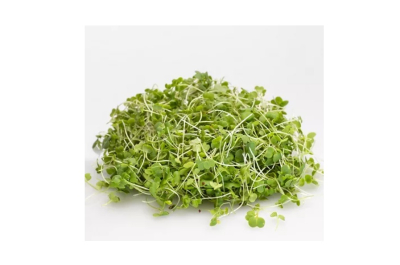 Nejzajímavější fakta o microgreens
