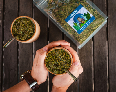 Mate yerba a jeho vliv na energii a koncentraci