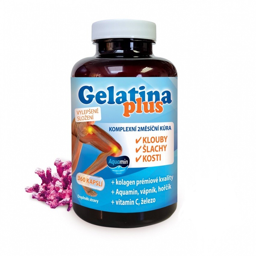 Gelatina Plus cps.360