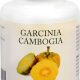 Natural Medicaments Garcinia Cambogia cps.90