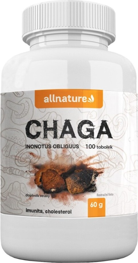 Allnature Chaga 100 kapslí